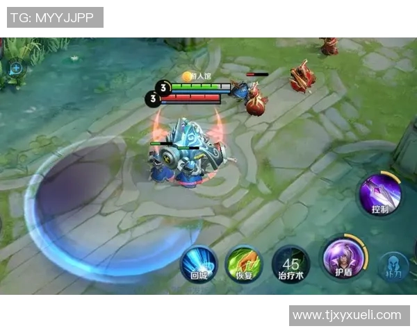 王者荣耀战术LNG整体压制体系解析与实战应用探讨 王者荣耀战术LNG整体压制体系解析与实战应用探讨