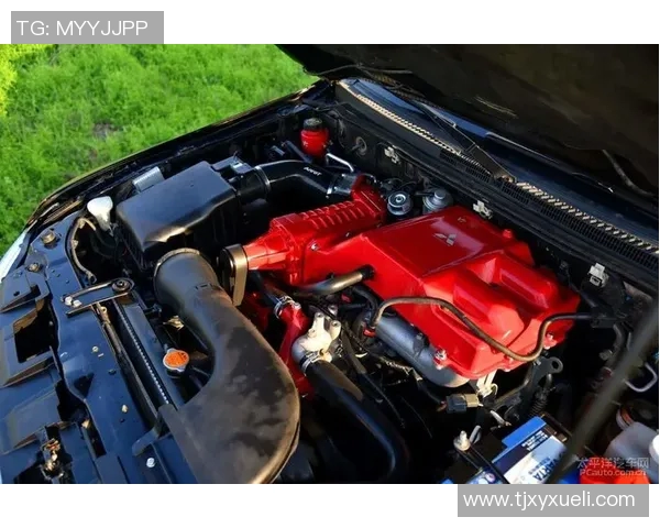 电竞数据揭秘刘秀英成功之路探讨英雄联盟背后的制胜秘诀